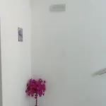 Apartment Dom-el Real 3 - Amerikana *